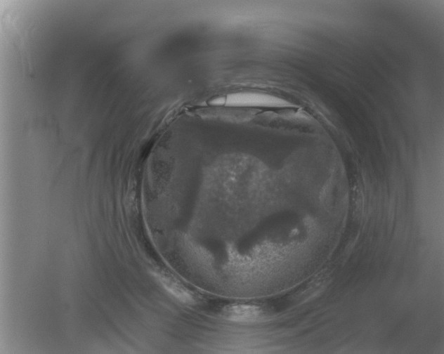 X0000080180361200612151954