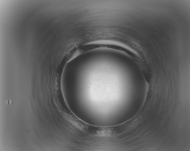 X0000080180362200612151954