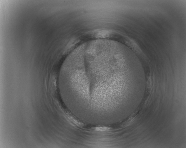 X0000080180363200612151954