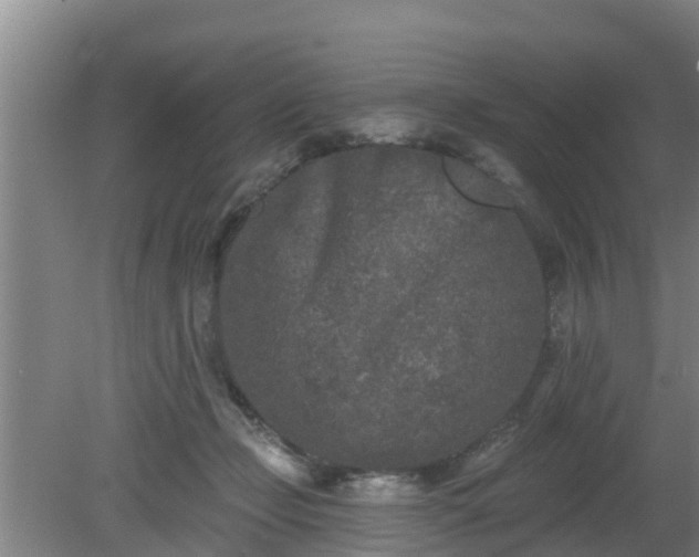 X0000080180365200612151954