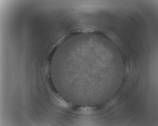 X0000080180367200612151954