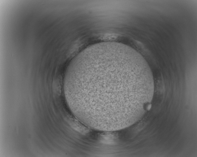 X0000080180370200612151954