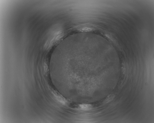 X0000080180371200612151954