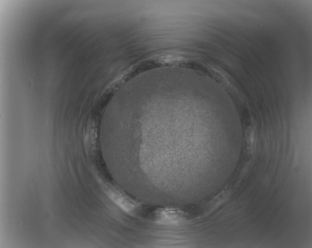 X0000080180372200612151954