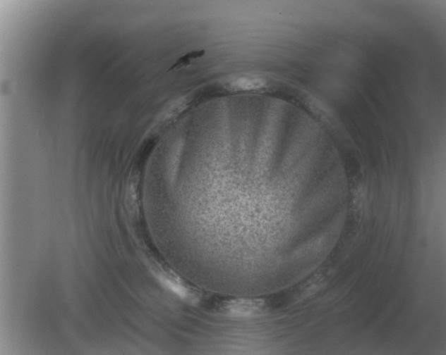 X0000080180373200612151954