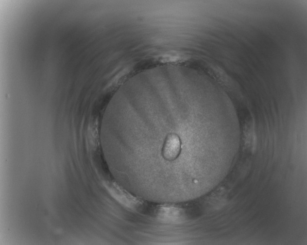 X0000080180376200612151954