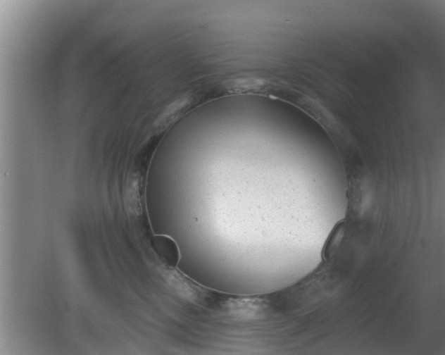 X0000080180378200612151954