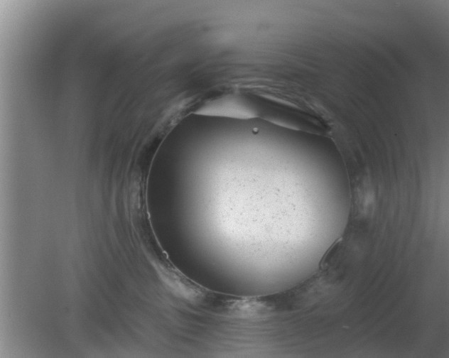 X0000080180379200612151954