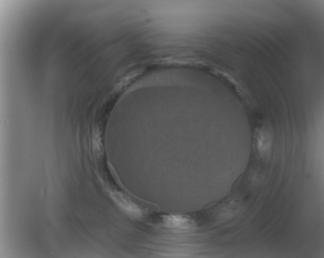 X0000080180380200612151955