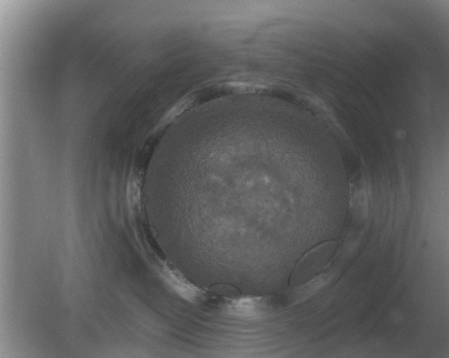 X0000080180382200612151955