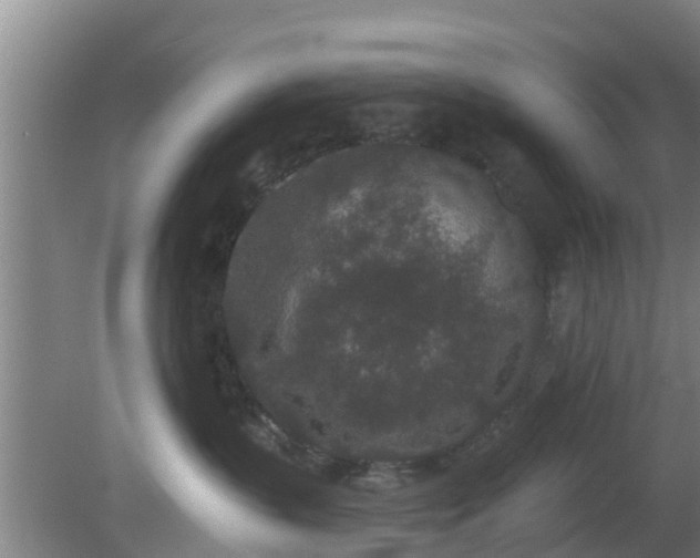 X0000080180383200612151955