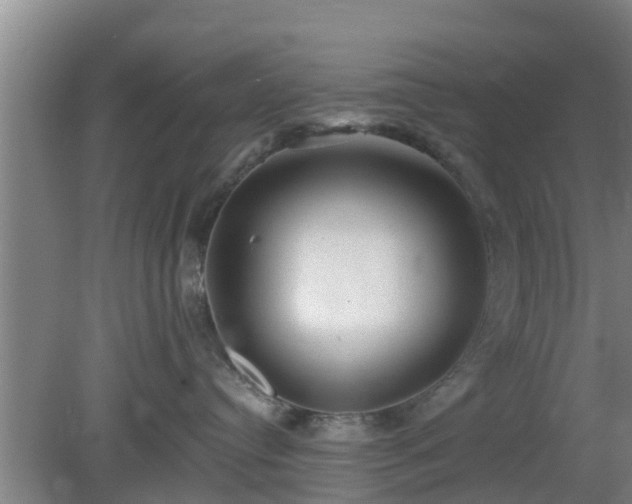 X0000080180384200612151955