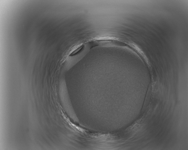 X0000080180385200612151954