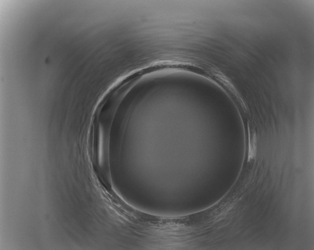 X0000080180387200612151954