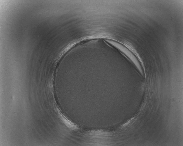 X0000080180389200612151954