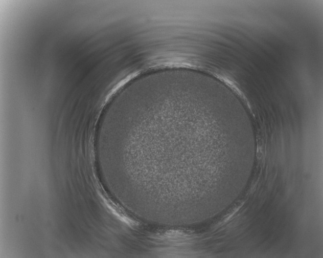 X0000080180390200612151954