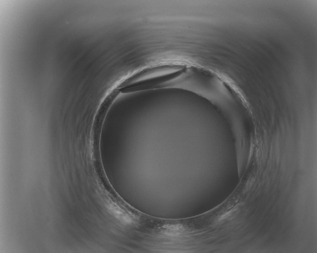 X0000080180391200612151954