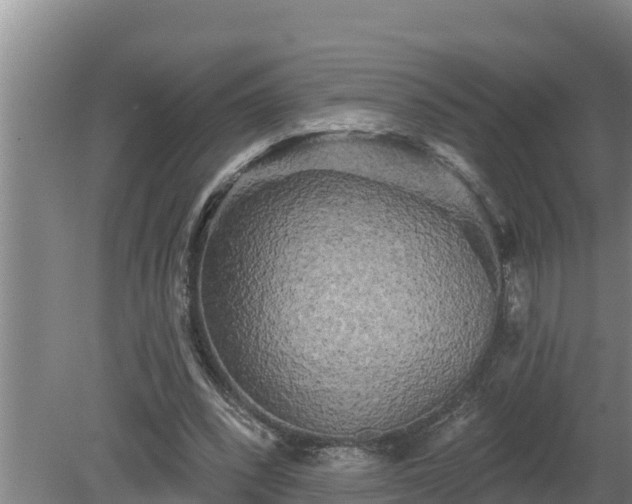 X0000080180392200612151954