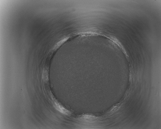 X0000080180393200612151954