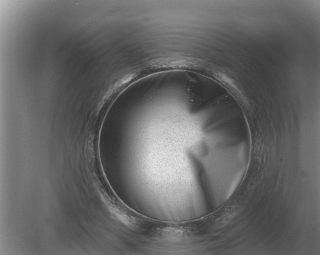 X0000080180394200612151954