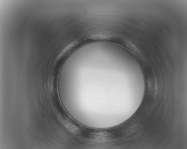 X0000080180396200612151954