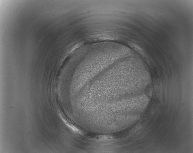 X0000080180398200612151954