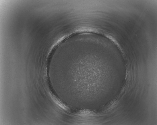 X0000080180399200612151954