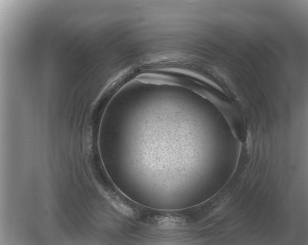 X0000080180400200612151954