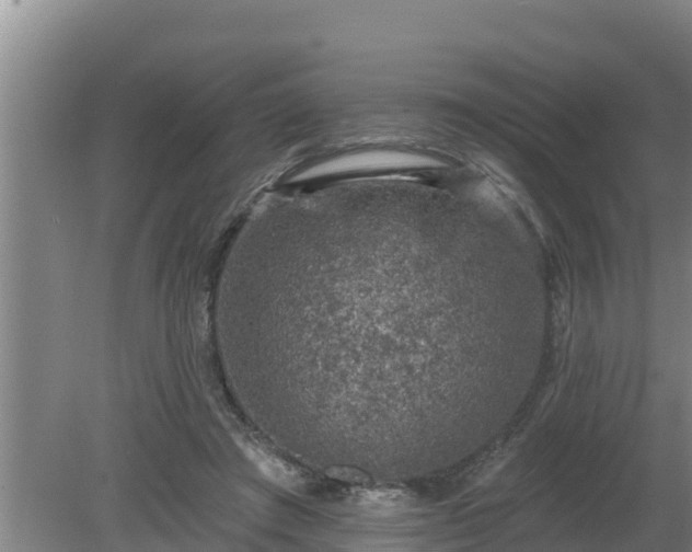 X0000080180401200612151953