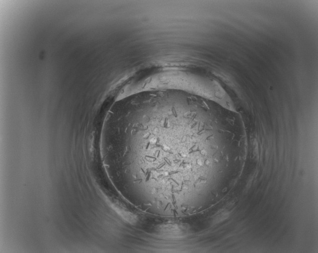 X0000080180404200612151953