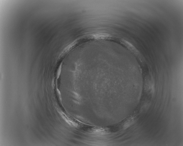 X0000080180405200612151953