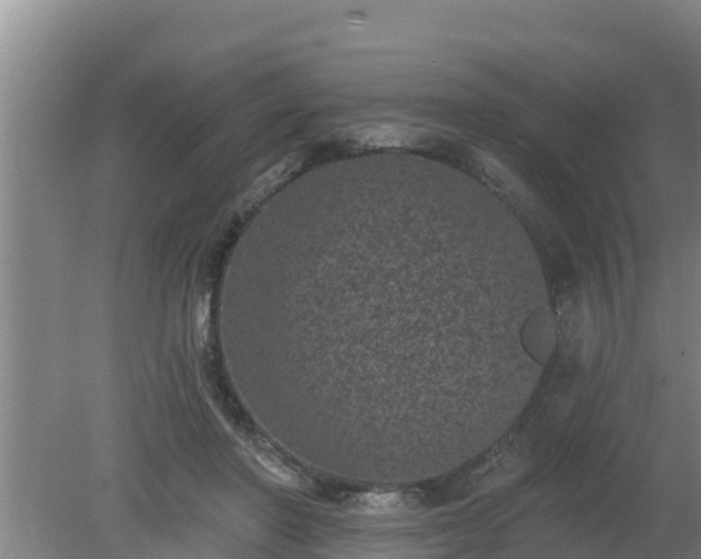 X0000080180406200612151953