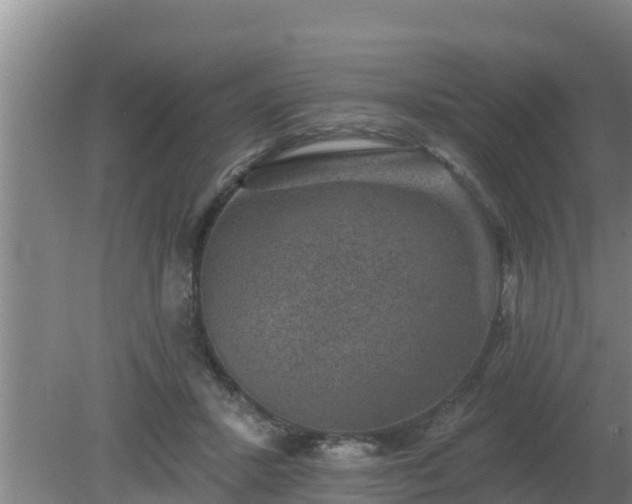 X0000080180407200612151953