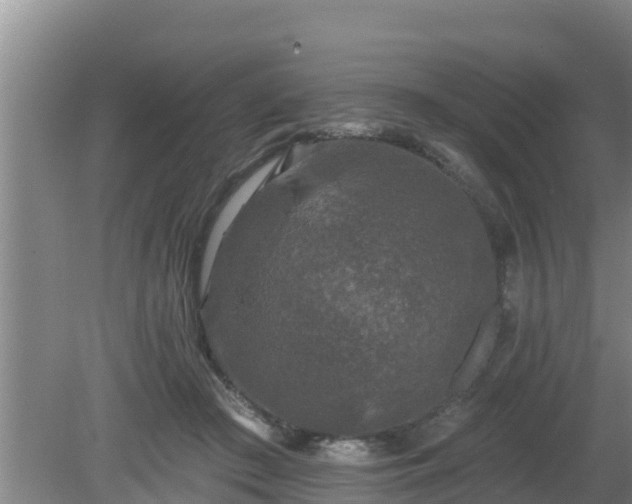 X0000080180409200612151953