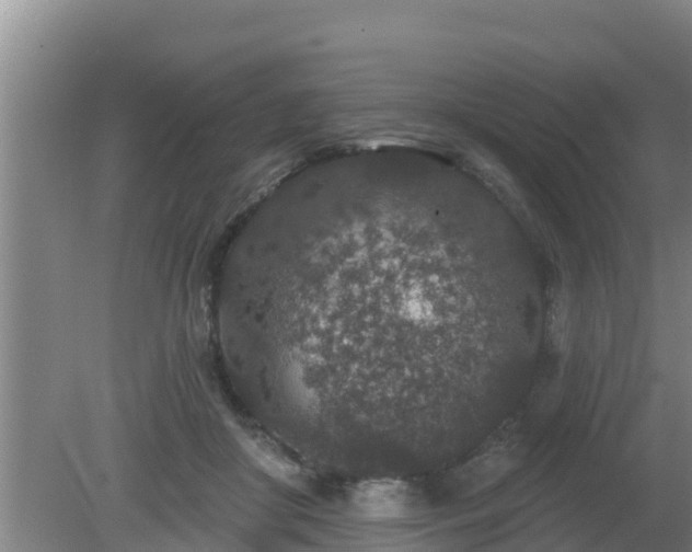 X0000080180410200612151953