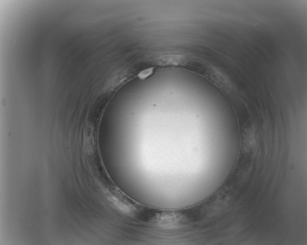 X0000080180414200612151953