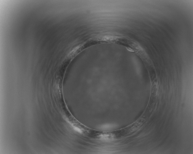 X0000080180415200612151953