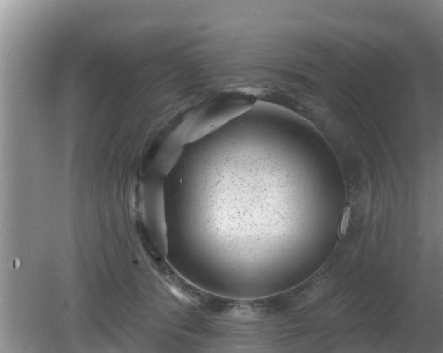 X0000080180416200612151953