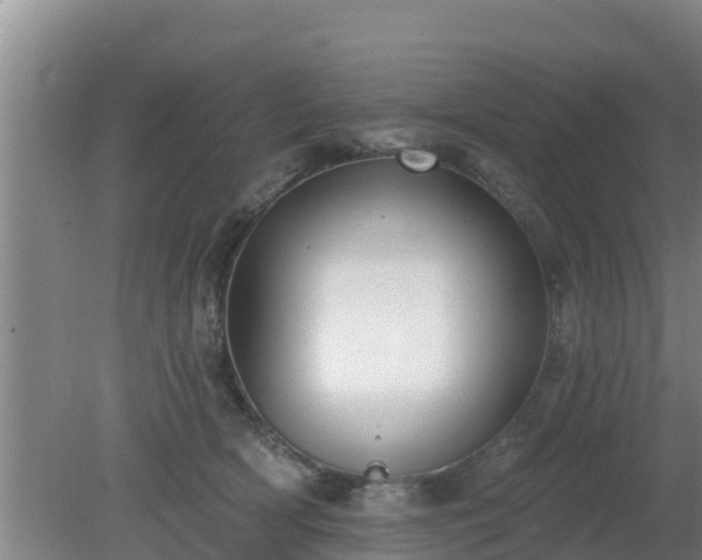 X0000080180418200612151953