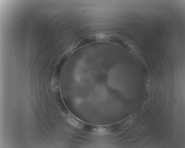 X0000080180419200612151953