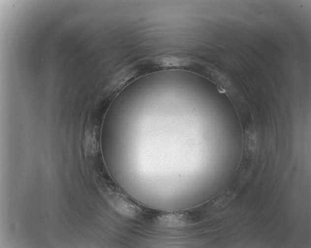 X0000080180422200612151953