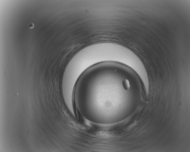 X0000080180423200612151953