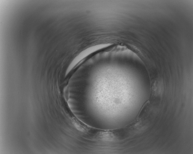 X0000080180424200612151953