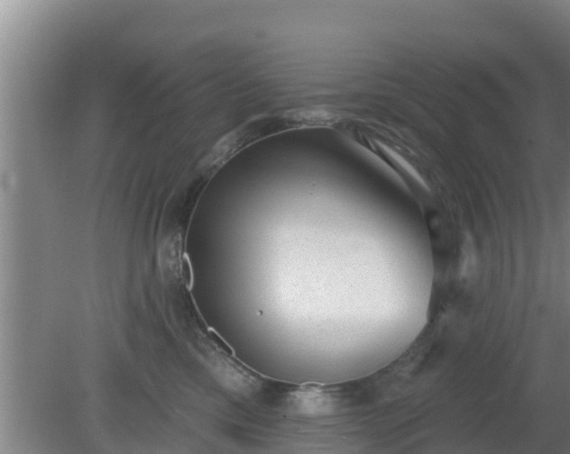 X0000080180425200612151953