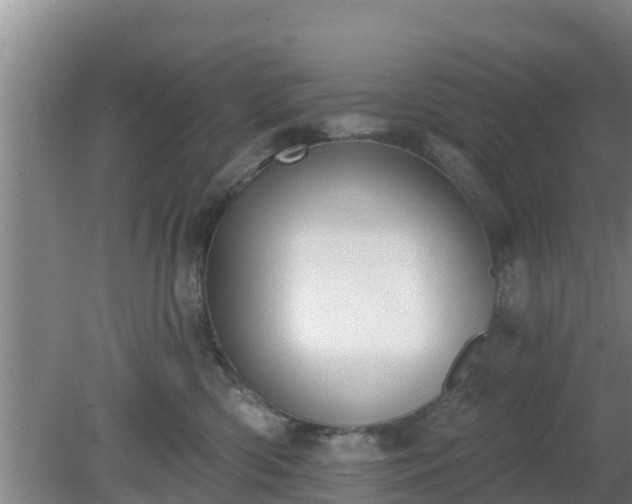 X0000080180426200612151953