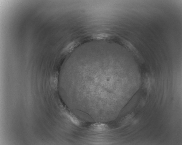 X0000080180427200612151953