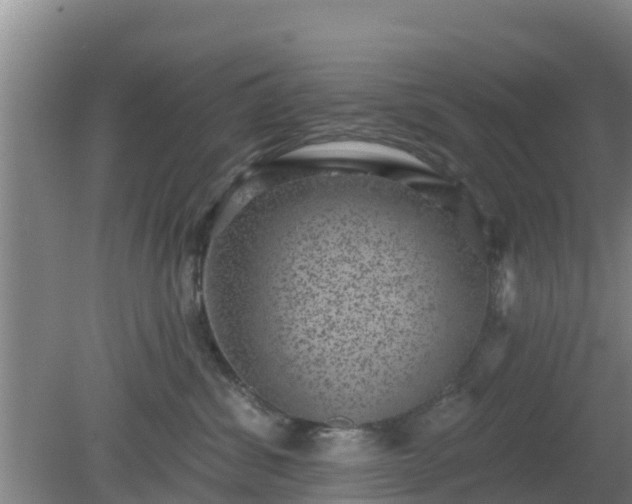 X0000080180428200612151953