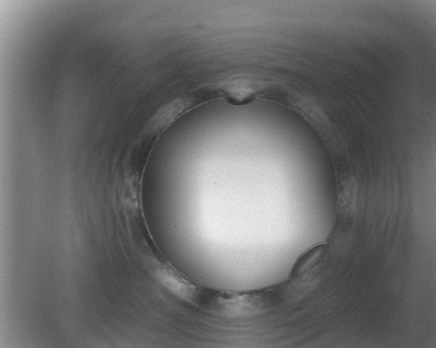 X0000080180430200612151953