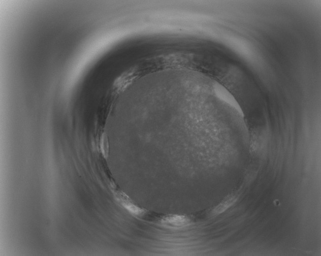 X0000080180431200612151953