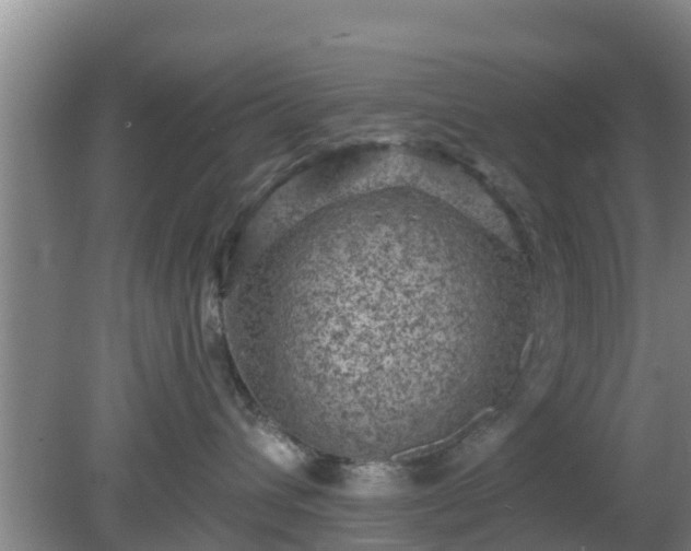 X0000080180432200612151953